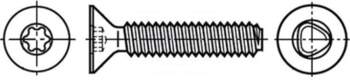 BOSSARD Screw | 2,5x10 |
