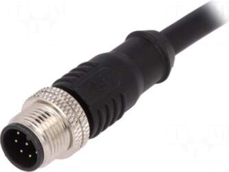 BULGIN Plug | M12 | PIN: