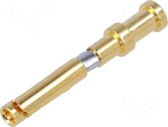 DEGSON ELECTRONICS Contact | female |