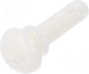DREMEC Rivet | polyamide | L