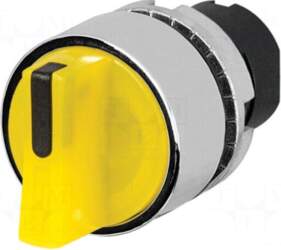 EAO Switch: rotary | 22mm |
