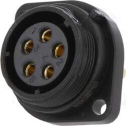 Electro Base SP21 | ligzda |