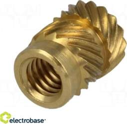 Electro Base Threaded insert; brass; without