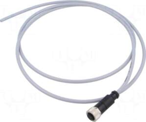 HARTING Connector: M12 | plug |