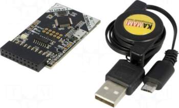 KAMAMI Programmer: microcontrollers | ARM |