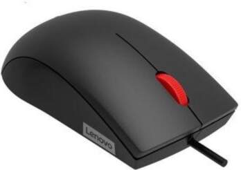 Lenovo | Mouse | 120 |