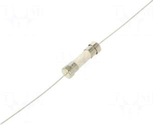 LITTELFUSE Fuse: fuse | ceramic |
