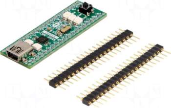 MIKROE Dev.kit: ARM ST |