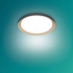 PHILIPS Pebblo UE Ceiling SS B