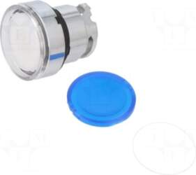 SCHNEIDER ELECTRIC Switch: push-button | 22mm