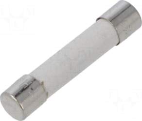 SCHURTER Fuse: fuse | ceramic,cylindrical