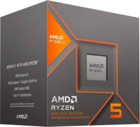 AMD Ryzen 5 8600G - Socket