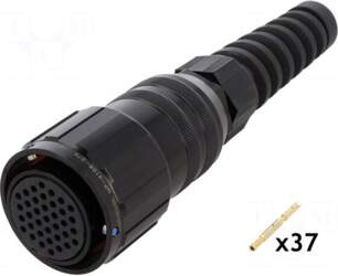 AMPHENOL Plug | Size: 16 |