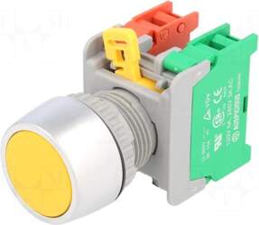 AUSPICIOUS Switch: push-button | 22mm |