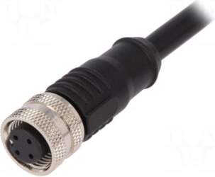 BULGIN Plug | M12 | PIN: