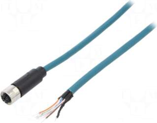 BULGIN Plug | M12 | PIN: