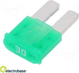 Electro Base Fuse: fuse; 30A; 32VDC