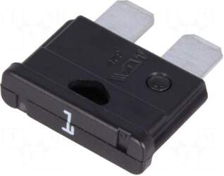 ESKA Fuse: fuse | 1A |