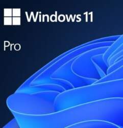 Microsoft Windows 11 Pro ENG OEM