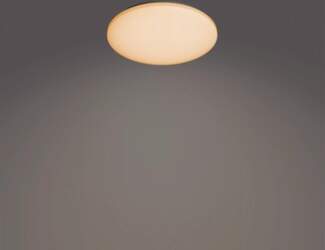 Philips Functional Izso Ceiling Light 40