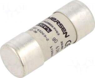 SCHNEIDER ELECTRIC Fuse: fuse | ceramic