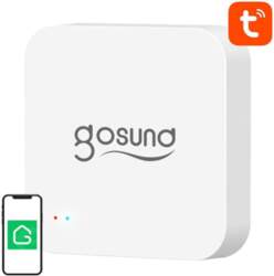 Smart Bluetooth BLE, WiFi Mesh Gateway