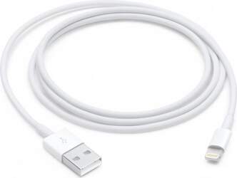Apple Lightning to USB Cable (1В