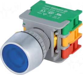 AUSPICIOUS Switch: push-button | 22mm |