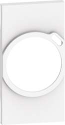 Bticino Living Now - FR/BE socket