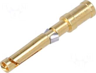 DEGSON ELECTRONICS Contact | female |