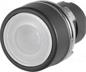 EAO Switch: push-button | 22mm |