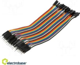 Electro Base Connection cable | L: