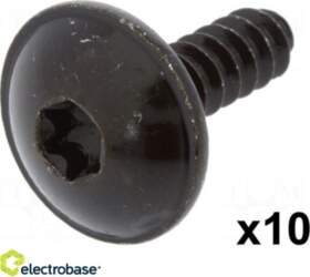 Electro Base Skrūve | 10 gab