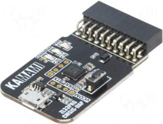 KAMAMI Programmer: microcontrollers | ARM |