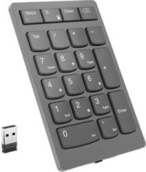 Lenovo | Professional | Go Wireless