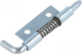 RST ROZTOCZE Hinge | right