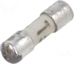 SCHURTER Fuse: fuse | ceramic,cylindrical