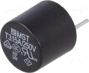 SCHURTER Fuse: fuse | TR5 |