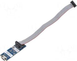 STMicroelectronics Programmer: microcontrollers | STM32 |