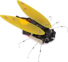 Belgium ELECTRONIC CICADA
