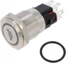 E-SWITCH Switch: vandal resistant | Pos: