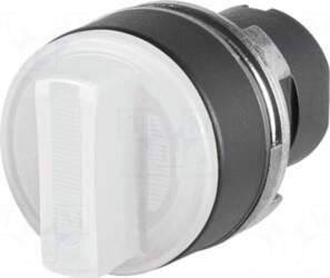 EAO Switch: rotary | 22mm |