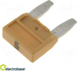 Electro Base Drošinātājs: drošinātājs | 5A