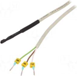 F&F Sensor: temperature | DS18B20 |