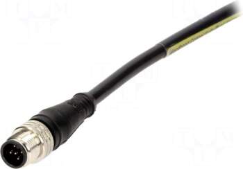 MOLEX Plug | M12 | PIN: