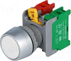AUSPICIOUS Switch: push-button | 22mm |
