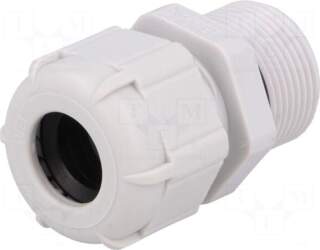 BM GROUP Cable gland | with