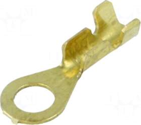 BM GROUP Ring terminal | M4