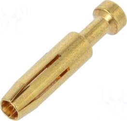 DEGSON ELECTRONICS Contact | female |