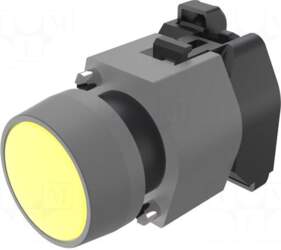 EAO Switch: push-button | 22mm |